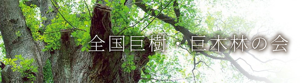 全国巨樹・巨木林の会