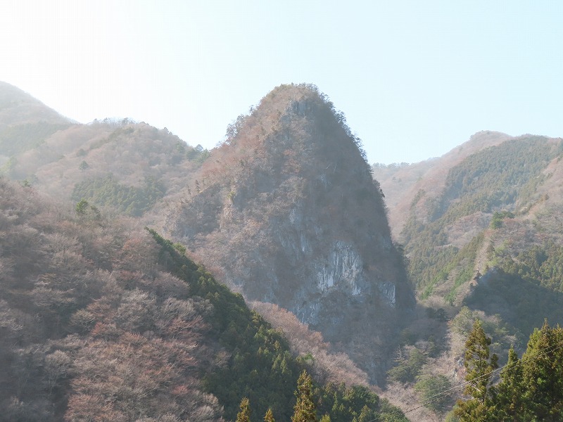 春霞？いや、花粉にけむる稲村岩