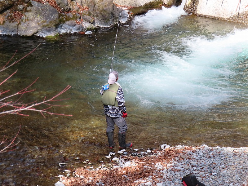 ヤマメのいそうな淵だなぁ