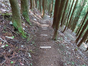 下りは急坂なので要注意