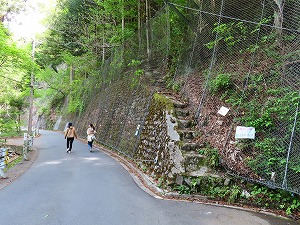 水垂れのトチを見たら車道に出ます